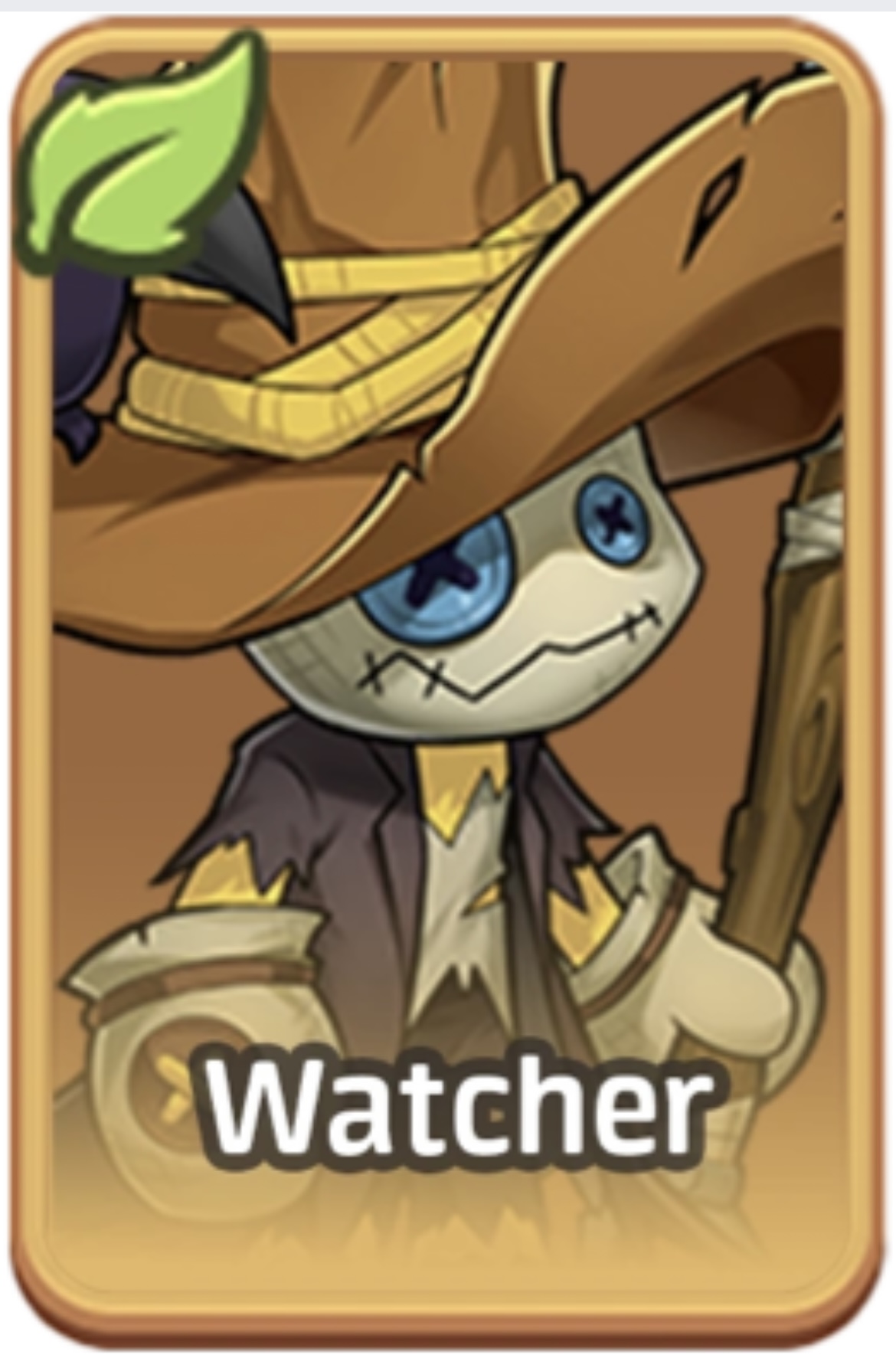 Watcher